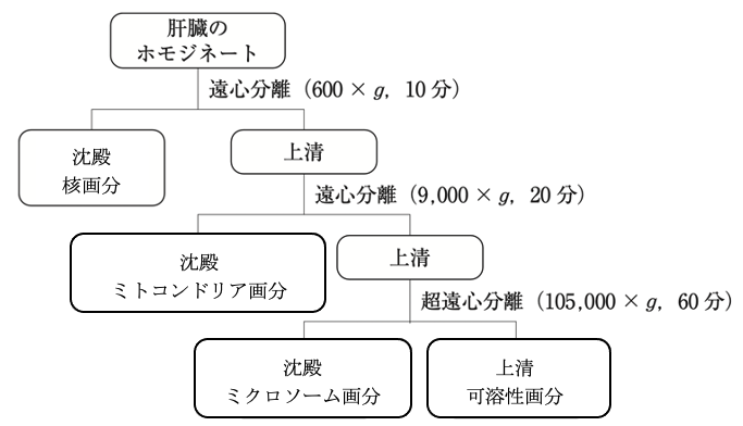 解説画像
